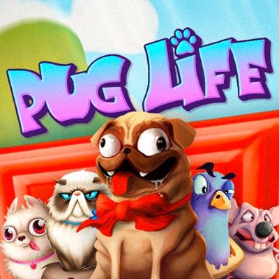 Pug Life