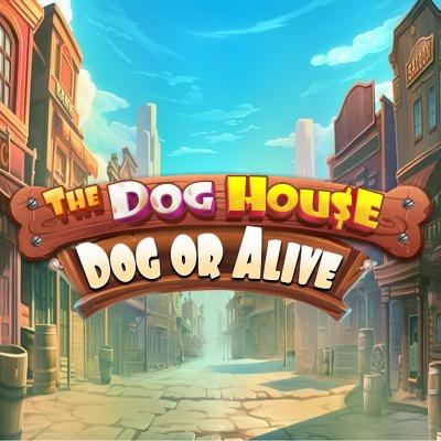 The Dog House – Dog or Alive