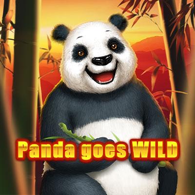 Panda Goes Wild